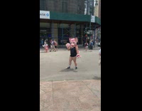 Pink furry waves at camera 