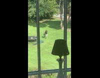 2 women film dance near trampoline 