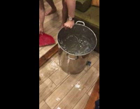 Guy tries to clear flood water with dustpan and bucket 