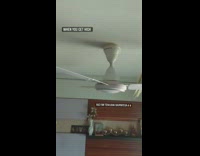Bird sitting on ceiling fan blade spinning around