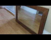 Pet puppy growls on its reflection in front of the mirror