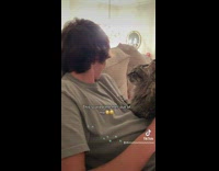 Guy gets too close to cat gets hit 