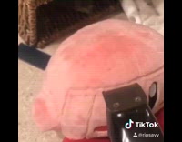 Collab BitchIG2 - Kirby doll lineup haircut clippers