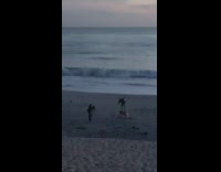 Two men stand up challenge fail beach