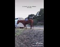 in honor of my infamous failures horse