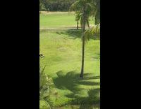 Person lying face down on grass in golf course
