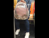 Pet python snake inside pet carrier backpack subway