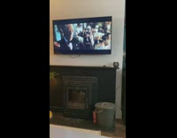 Brown dog run around house hear ringtone