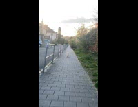 Guy ride skateboard on sidewalk chase cat