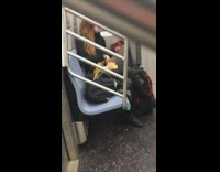 Woman throws lizard onto herself on subway train