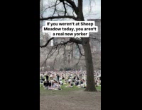 Sheep Meadow park filled with people crowded
