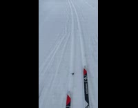 Boy almost skis over small mouse