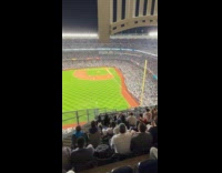 Man at stadium watching game through phone 