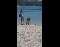 Woman take photo coconut drink on sand
