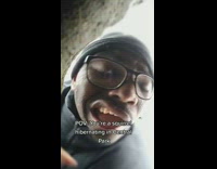 pov squirrel hibernating in central park 