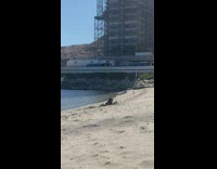Woman in white bikini adjusts camera and poses at the beach