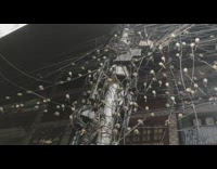 Flock of birds sit on power lines