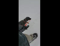 Dog pull guy on snowskate orange leash 