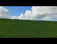 Man shows the Microsoft Windows XP background green hill