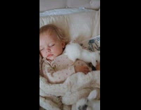 Collab PubityPets - Baby Bunnies Hangs Out Around Asleep Baby