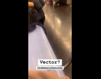 Man wearing Vector costume 