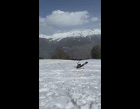 Guy riding monoski attempts backflip fail