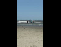 Three man hold hands and raise it on the beach shore