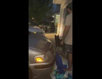 [duplicate] Dog barking at black bear 