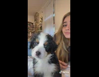 Girl shows her little puppy dog looking sideways at camera