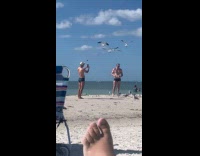 Seagulls Hovers Over Man while he Feeds Them