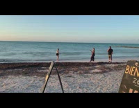 Girl black shorts beach shore two dogs