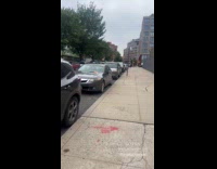 Line of parked cars get violation tickets