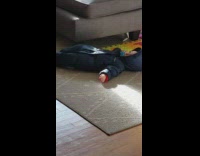 Baby lays flat on floor 