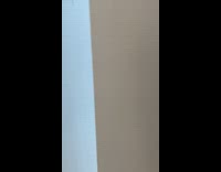 Kitten meows at owner in the room