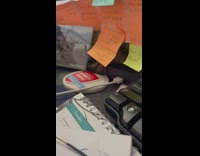 Owner lifts post it note to reveal cat