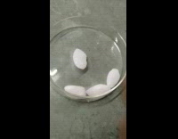 Pieces of dry ice shake inside container 