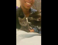 Black white cat grooms grey kitten girl 