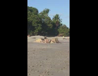 Woman black coat bikini friend film butt