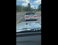 surfisup camaro car license plate