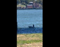 Person struggling to paddle due to strong current