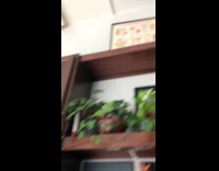 Collab Clips MPUGC - Cat on shelf knock over another frame