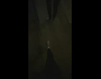 Guy pulls pig in cart down sidewalk 