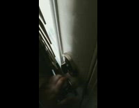 Dog gets head stuck in plastic container 