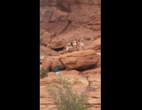 Collab IITW - Three women dances on rock at canyon