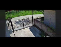 CCTV footage snake chase a frog street