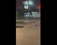 Guys use bike to carry christmas tree