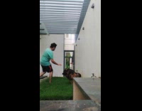 Man playing with dog at garden