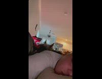 Dog hits owner in face playing with toy 