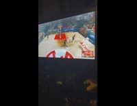 Pet cat watches basketball gameplay on the television