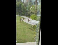 Woman in bikini bends over for photo